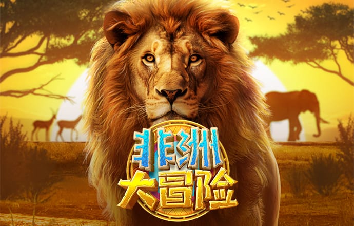 4303体育官网